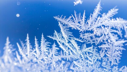 Intricate White Frost Patterns on Blue Winter Window