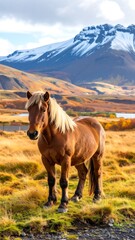 Horse in autumnal landscape with mountains