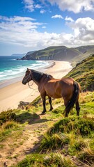 Horse overlooking a sandy beach
