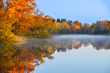 fall colored  trees reflecting on the lake