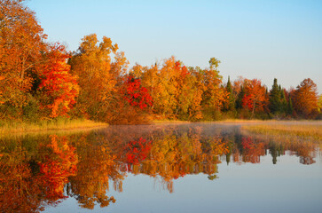 orange foliage on Minnesota lake shoreline
