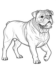 Line drawing of a bulldog