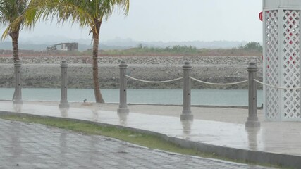 b roll footage of rain hitting the ground on a rainy day showing natural texture mood and atmosphere ideal for cinematic storytelling and background visuals
