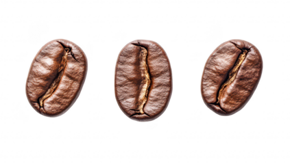 A close-up view of three glossy coffee beans arranged in a row on a clean white background. their rich texture and color. ideal for culinary or beverage-related content