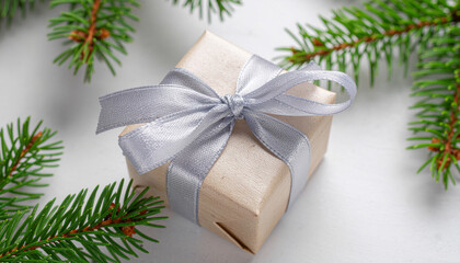 Gift Box with Silver Ribbon and Pine Branches