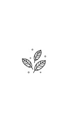 Simple hand drawn illustration of three leaves.