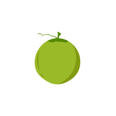 Fresh young green coconut fruit icon isolated on white.