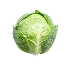 Obraz premium Fresh green cabbage with leaves. isolated on a white background. its natural texture and color. ideal for culinary or health-related stock imagery