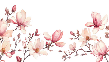 A serene arrangement of delicate magnolia flowers in soft pink and white hues. gracefully positioned across a clean. white background. ideal for spring-themed designs or nature-inspired projects