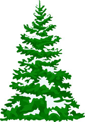 snow-covered Christmas tree. on transparent, png. spruce. Realistic design. Tree .Green silhouette. Evergreen tree