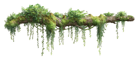 Lush moss draped over a log, hanging in cascades