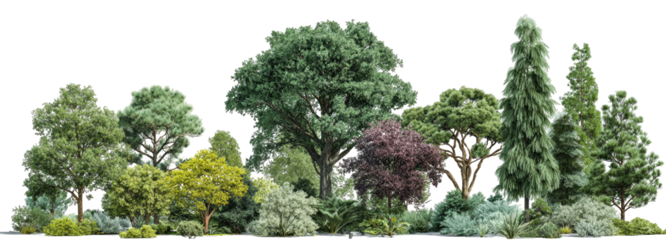 Lush green trees and shrubs in a diverse landscape