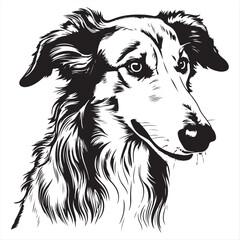 Elegant Borzoi Dog Portrait in Black and White