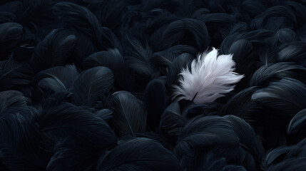 Striking contrast of single white feather amidst sea of dark, textured feathers creates captivating visual. delicate white feather stands out, evoking feelings of purity and tranquility rich