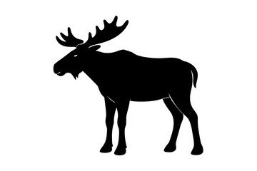 Vector art of moose standing, vector illustration design