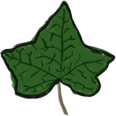 Hand drawing leaf illustrations unique ugly abstract