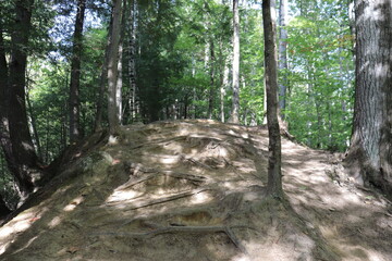 Difficult trail in the wood. Park and outdoor activities. Hiking in the forest. Nature background and trees with a footpath. Roots of trees at the ground and steep path.