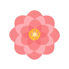 Delicate pink camellia blossom with sunny yellow center, a modern floral accent perfect for spring designs and branding, celebrating nature's beauty