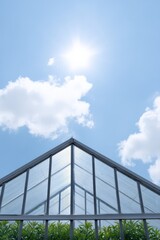 Greenhouse with sunlight streaming through, Sunshine and blue sky