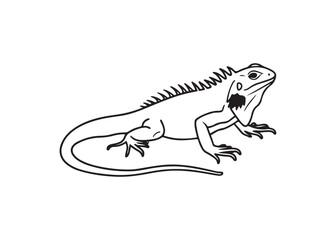 Gecko silhouette vector illustration, reptile lizard animal icon symbol for nature and wildlife graphics.