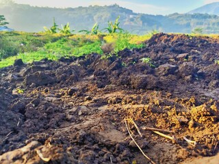 Close-up view of a muddy field with green grass and a mountain in the background.