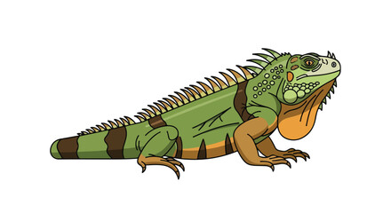 Obraz premium Colorful Iguana Illustration with Spikes and Stripes on a Plain Backdrop Depicting Exotic Wildlife and Reptilian Features in Detailed Digital Artwork