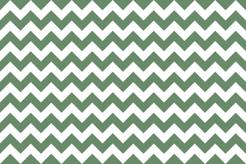 DarkSeaGreen and white color Zig zag seamless pattern.