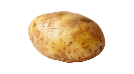 single fresh potato on white background