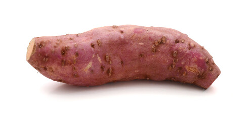Sweet Potato
