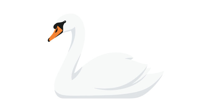 Elegant swan illustration with minimalist style perfect for logo or icon design isolated illustration