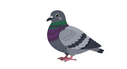 Fototapeta premium Stylized pigeon illustration standing isolated against white backdrop with vibrant plumaged, portraying a blend of urbanity and nature in simplistic