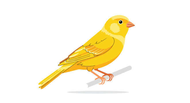 Illustrative canary perched on a branch, showcasing its vibrant yellow plumage against a clean white backdrop showing detailed features of the bird