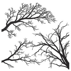 Abstract Bare Tree Branch Silhouettes on White Background Keywords: tree, silhouette, bare