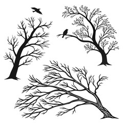 Bare Tree Silhouettes with Birds in Flight on White Background Keywords: tree, silhouette, bare
