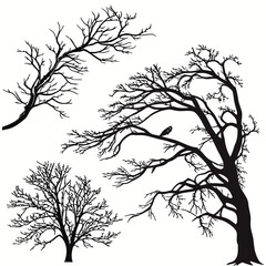 Bare Tree Silhouettes with Bird on White Background Keywords: tree, silhouette, bare, branches