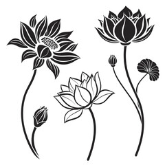 Black Silhouette Lotus Flowers Buds and Leaf on White