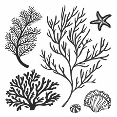 Black Silhouette Sea Life and Coral Collection starfish