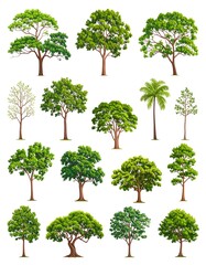 Fototapeta premium Collection of Diverse Green Trees.