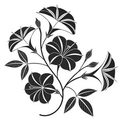 Obraz premium Black silhouette of blooming morning glory flowers and leaves