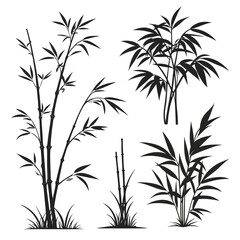 Fototapeta premium Various Bamboo Silhouettes on White Background plant