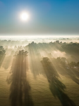 Aerial view of a foggy sunrise with gum trees casting long shadows over farmland at Moama