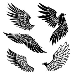 Collection of Black Eagle Wings and Birds flying silhouette
