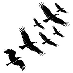 Flock of Crows Silhouettes Flying in Formation bird