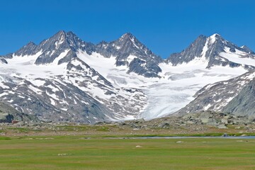 Mountain range with glacier and meadow