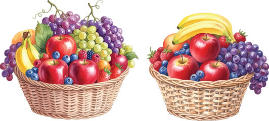 Fresh Fruit Baskets with watercolor Grapes, Apples, and Berries