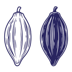 Vector illustration of hand drawn style cacao pods isolated on white background