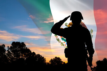 Silhouette of a soldier saluting against a vibrant sunset and the italian flag