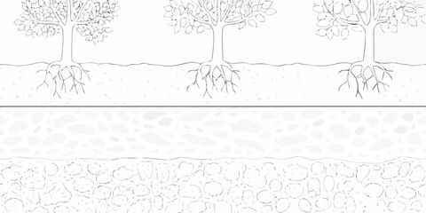 Illustration of three trees showing their root systems extending into the soil layers and underground strata