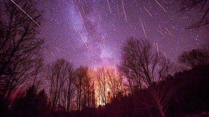 Night sky with meteor shower and Milky Way over silhouetted trees