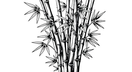 Detailed black and white illustration of a cluster of bamboo stalks with leaves.
